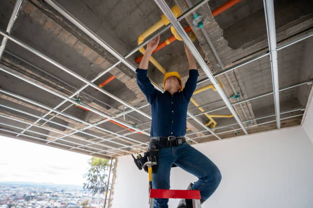 Best Water Leak Repair  in Burbank, IL