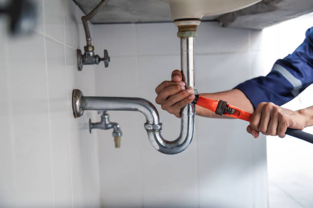 Best Plumbing Inspection Services  in Burbank, IL