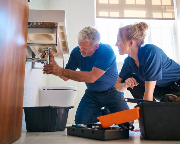 Best Clogged Drain Plumber  in Burbank, IL